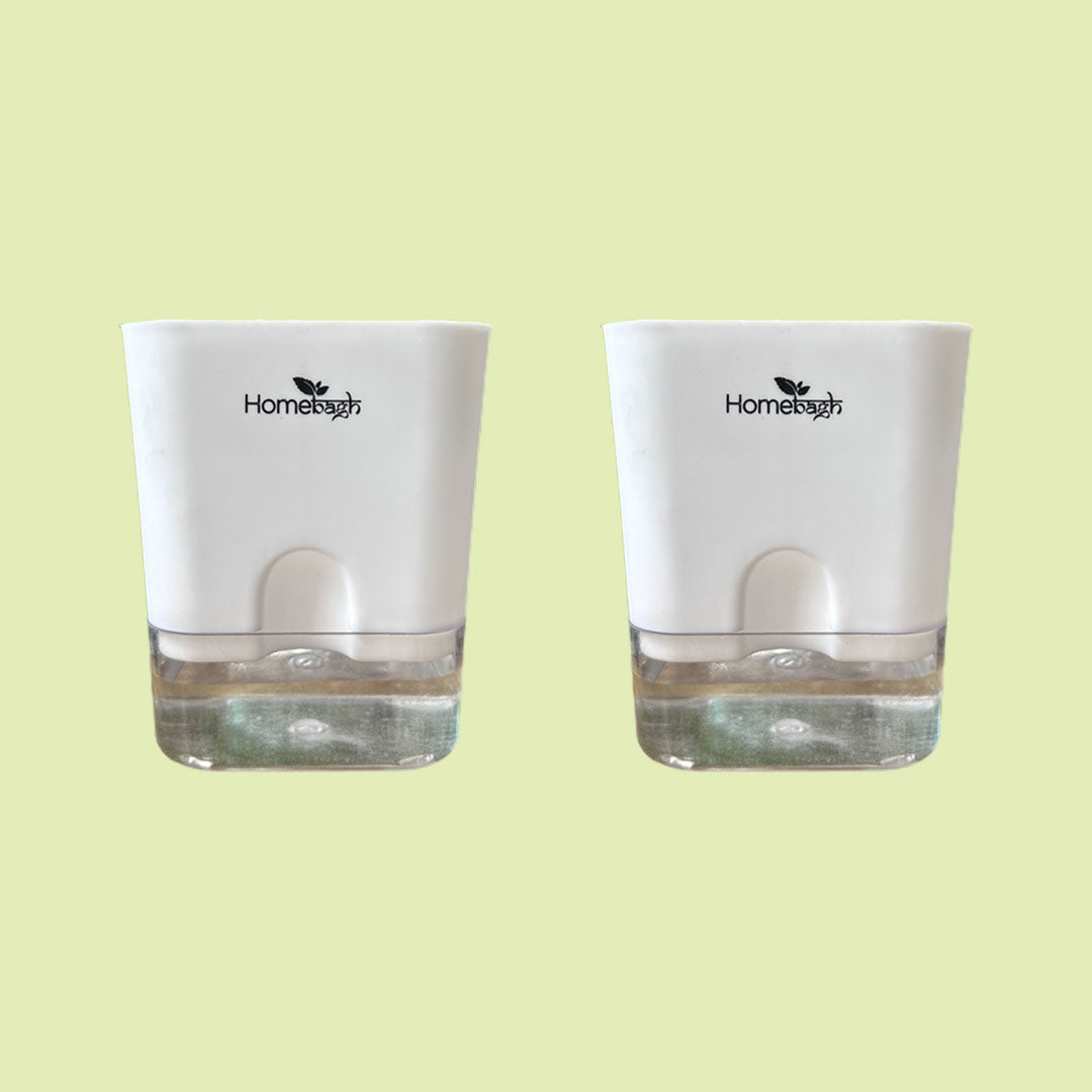 5" Self Watering Pots - Combo of 2 - Homebagh